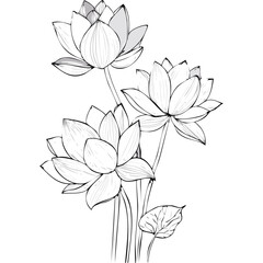 Lotus Flower Sketch Outline Illustration in Black and White – Hand Drawn Botanical Vector