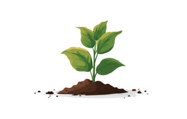 a vector flat illustration of a small plant growing from the soil, with simple shapes,c.pn