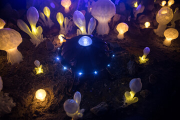 Abstract Miniature of Another Planet with Giant Glowing Mushrooms. A Nighttime Scene on an Alien World, Illuminated by the Soft Glow of Otherworldly Fungi.