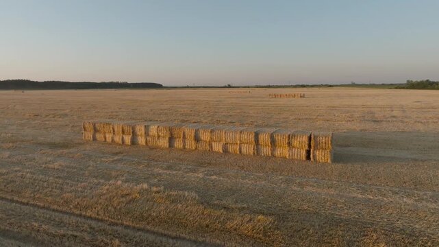 straw bales in field