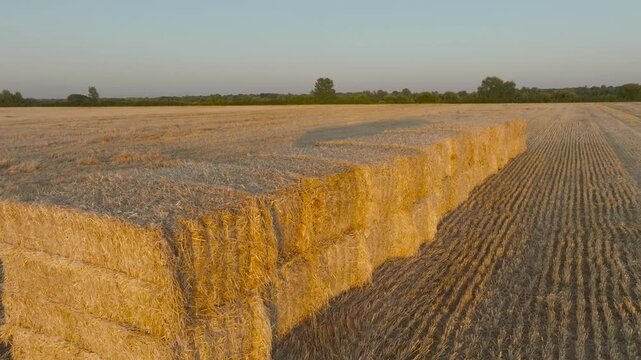 straw bales in stubble field