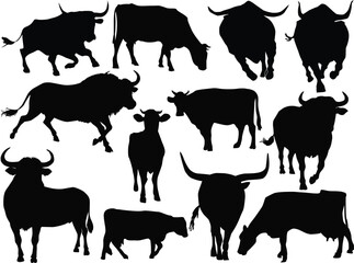 twelve cows and bulls silhouettes isolated on white