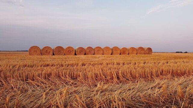 straw bales in sunset