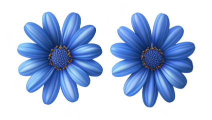 A pair of blue flowers with detailed petals and contrasting yellow centers. positioned symmetrically against a clean white background. ideal for nature-themed designs and floral arrangements