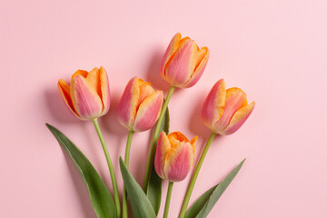 Vibrant pink and orange tulips with green stems and leaves, set against a soft pink background. Fresh and elegant.