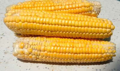 Close up shot of sweet corn.