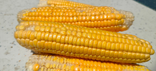Close up shot of sweet corn.
