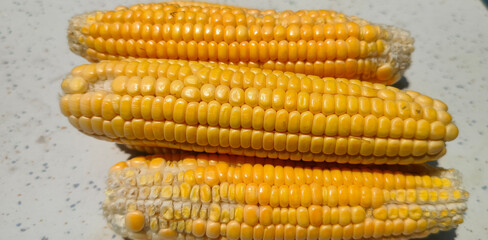 Close up shot of sweet corn.