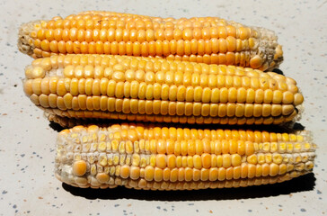 Close up shot of sweet corn.