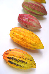 Closeup cocoa fruit on white surface