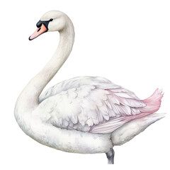 Fototapeta premium A serene white swan gracefully gliding across a calm lake. surrounded by lush greenery and soft ripples. embodying tranquility and beauty in nature. perfect for wildlife and nature-themed projects