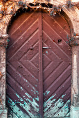 Old wooden door with peeling paint and climbing ivy