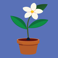Frangipani flower in a decorative clay pot illustration