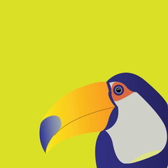 A Toucan bird cartoon