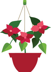 Vibrant bougainvillea plant in a decorative hanging pot