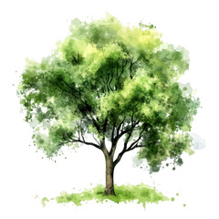 A watercolor illustration of a lush green tree with a sturdy trunk and abundant foliage. set against a soft white background. ideal for nature-themed designs and eco-friendly projects