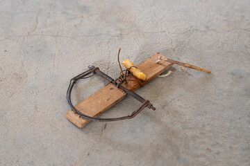 A close-up of a rustic, handmade wooden mousetrap, with a piece of cheese as bait, lying on a rough concrete floor, illustrating a simple, yet cunning trap