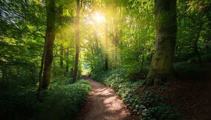 Obraz premium Sun Dappled Forest Path Winds Through Lush Greenery Sunlight Filtering Through Leaves Creating A Magical Woodland Scene Perfect For Nature Travel And Fantasy Themed Projects Dark Trail
