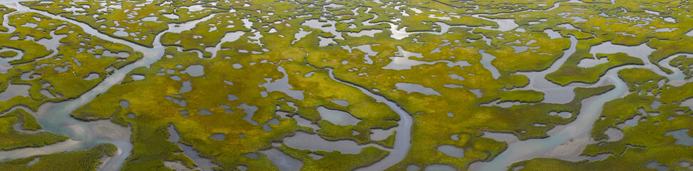 Sinuous channels meander through a beautiful salt marsh on Cape Cod, Massachusetts. These natural carbon sinks are sheltered nurseries for wildlife and act as a buffer against storms and waves.