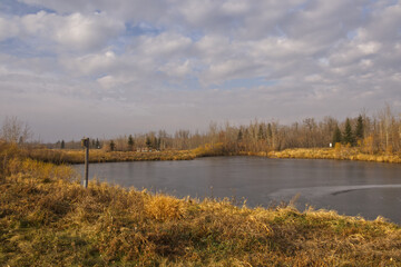 Pylypow on a Cool Autumn Afternoon.