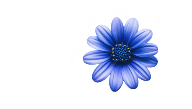 A blue flower with intricate petals and a yellow center. placed centrally against a clean white background. symbolizing beauty and tranquility. ideal for nature-themed designs
