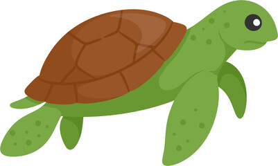 illustration turtle