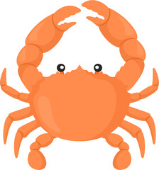 illustration crab
