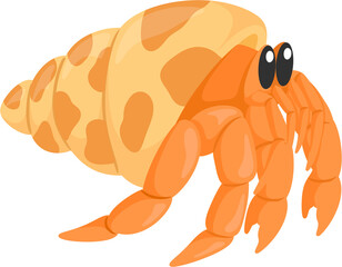 illustration hermit crab