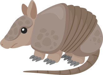 illustration armadillo