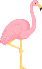 illustration flamingo