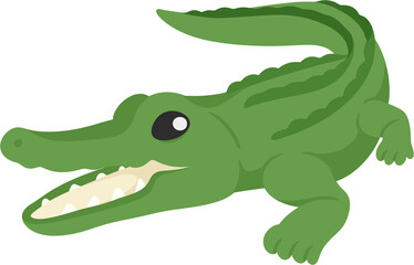illustration crocodile