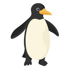 illustration penguin