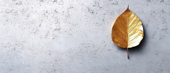 A Single Golden Leaf on a Textured Gray Concrete Background for Natural Beauty and Minimalist Design Concepts