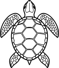 Minimal line art of turtle shell pattern, top view 1
