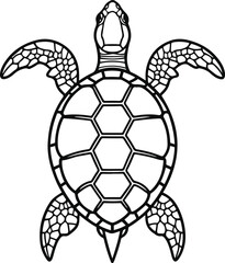 Minimal line art of turtle shell pattern, top view 3