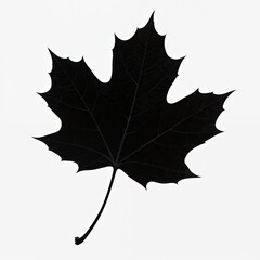 Black Maple Leaf Silhouette With Intricate Veins &ndash; Nature Inspired Art And Design Graphic