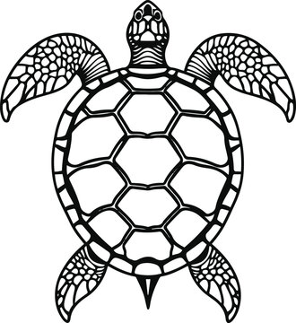 Minimal line art of turtle shell pattern, top view 4