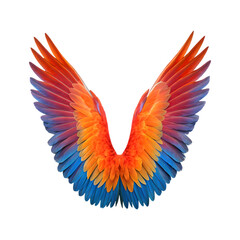Fototapeta premium Vibrant, colorful bird wings spread wide. Freedom, flight, and imagination concept.