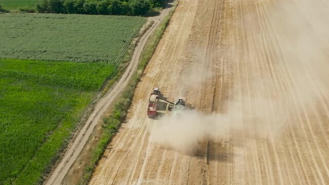 wheat harvest
