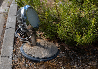 Outdoor Ground Spotlight With Metal Frame Illuminating Garden Bed And Rosemary Bush At Night In Landscape Design
