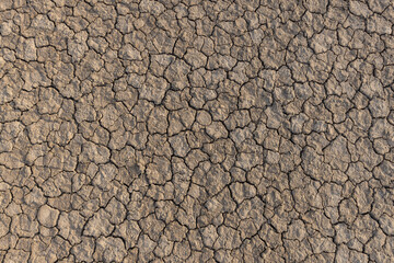 A dry, cracked soil backdrop,Texture of the dried earth with clay and sand, close-up.