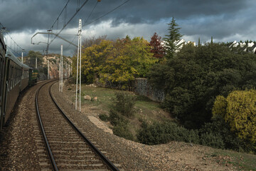 Train approaching village area with autumn trees, dramatic sky, and green forest.
