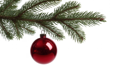 Festive christmas red ornament hanging from evergreen fir tree branch against transparent background