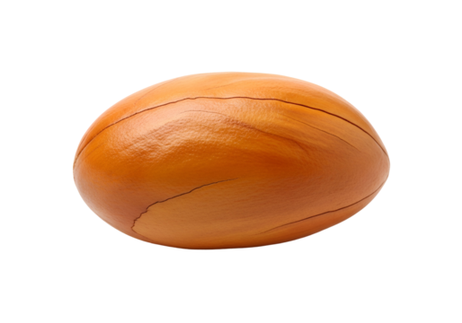 A richly colored, oval-shaped seed, detailed with intricate wood-grain patterns, is highlighted against a stark black background.
