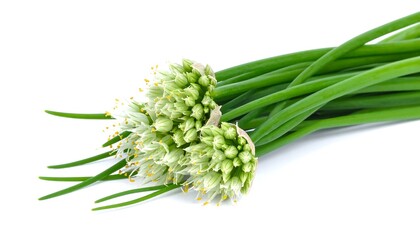 Fresh green chives with chopped pieces and spherical white chive flower on rustic surface, highlighting culinary and ornamental appeal.