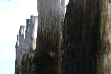 Brise-lames sur la plage à Saint-Malo