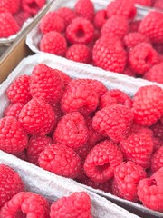 Fresh raspberries in containers at the market