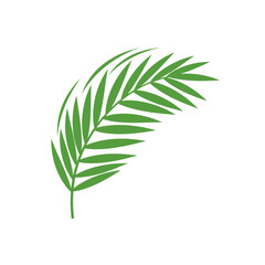 A simple graphic illustration of a single green palm frond, gently curved, isolated on a white background.