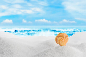 Beach with bright colorful sky and seashell