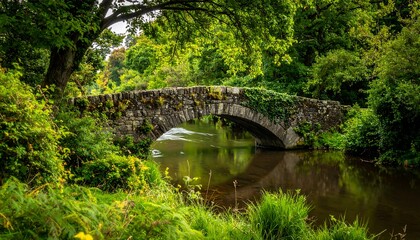 Fototapeta premium Stone bridge through lush green forest